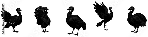 a variety of poses of a stylized black turkey on a white background