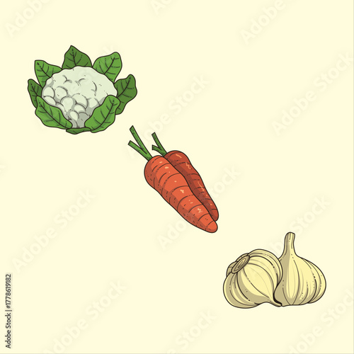 Fresh cauliflower carrots and garlic arranged on a light background showcasing healthy eating and organic produce for culinary projects and nutritional content illustration