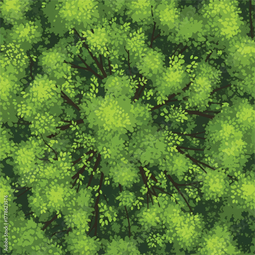 Top-down view of a dense green forest canopy, lush trees with vibrant foliage