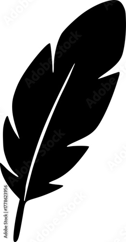 Feathers vector icon . Black bird feather silhouette collection. Plume symbol of lightness. Quill pen for writing, letter, poetry. Vintage retro writer logo design.Retro writer, literature, 