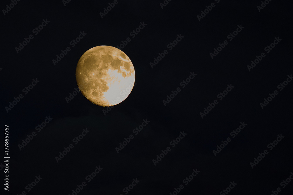 Obraz premium Moon