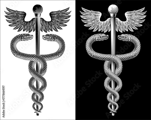 Caduceus Medical Asclepius Rod Doctor Symbol Icon