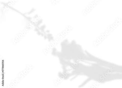 Soft Floral Branch Shadow Overlay