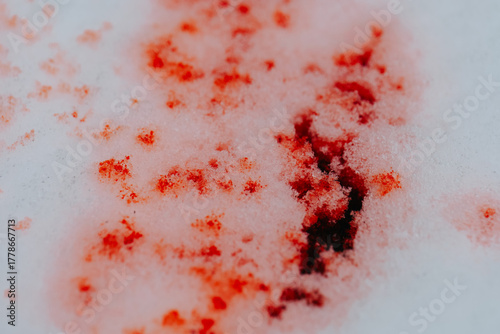 snow splattered blood. forensic blood patterns. blood droplets on icy surface. macro photograph of blood spatters on snow with clinical mood