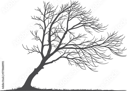 Silhouette of a wind-swept bare tree leaning to the side, illustrated in a minimalist style. The branches appear blown by strong wind, creating a dramatic and dynamic natural scene. Ideal for themes 