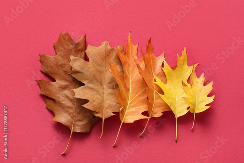 Composition with different ...