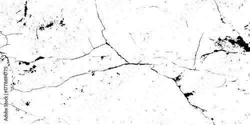 stained and scratched grunge texture with black veins, White and black grainy grunge overlay texture with dust effect, old and dusty grainy grunge Abstract black particulate explosion on white.	