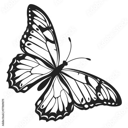 Detailed black and white silhouette of a monarch butterfly with intricate wing patterns isolated on white background