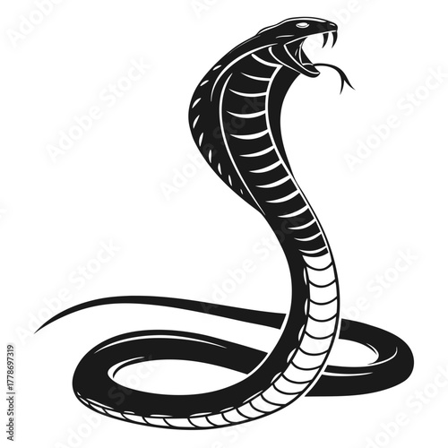 Fierce cobra snake silhouette ready to strike with open mouth and forked tongue isolated on white background