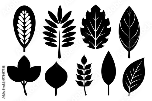 collection of various leaf Black silhouette vector Bundle