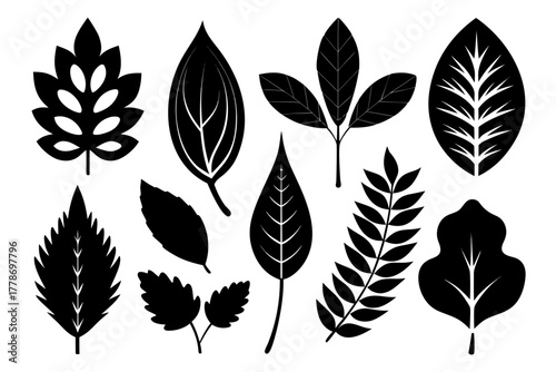 collection of various leaf Black silhouette vector Bundle