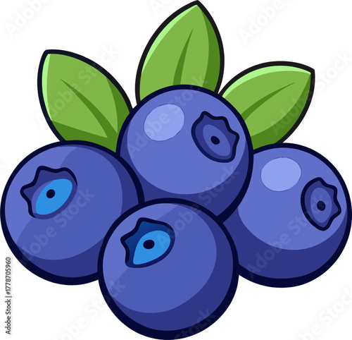 Blueberry Vector Illustration | Fresh Berry Clipart | Organic Purple Fruit Design