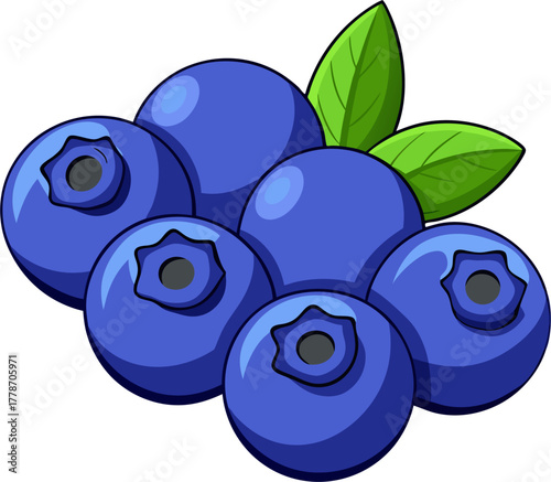 Blueberry Vector Illustration | Fresh Berry Clipart | Organic Purple Fruit Design