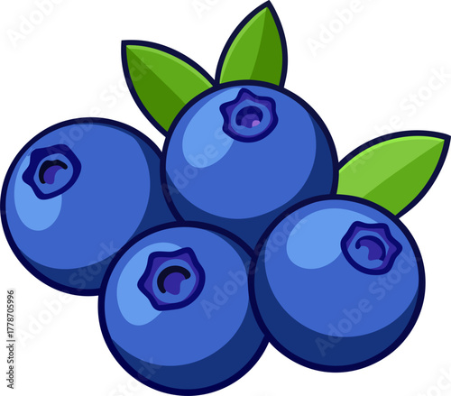 Blueberry Vector Illustration | Fresh Berry Clipart | Organic Purple Fruit Design