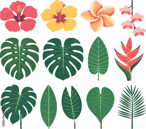 Tropical flowers and leaves illustration
