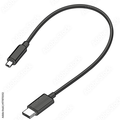 Black usb type c to usb type c cable illustration