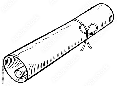 Rolled diploma tied with a ribbon bow in a vintage line art style