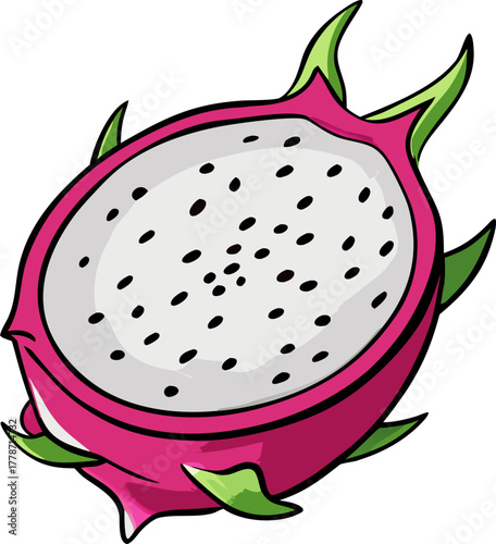 Dragon Fruit Vector Art | Exotic Tropical Pitaya Illustration | Fresh Healthy Food Design