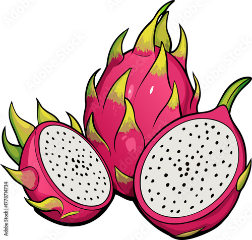 Dragon Fruit Vector Art | Exotic Tropical Pitaya Illustration | Fresh Healthy Food Design