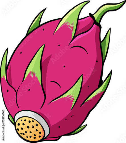 Dragon Fruit Vector Art | Exotic Tropical Pitaya Illustration | Fresh Healthy Food Design