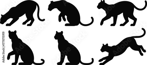 Panther silhouette collection, big cat poses, wildlife predator artwork, feline hunting design, animal mascot template, jungle predator illustration