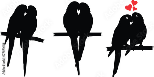 Romantic bird silhouettes perched on branches, love couple illustration, affectionate wildlife design, decorative vector artwork, heart symbol, nature theme
