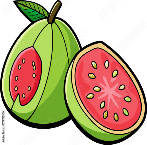 Guava Vector Illustration | Tropical Green Fruit Clipart | Fresh Organic Food Design