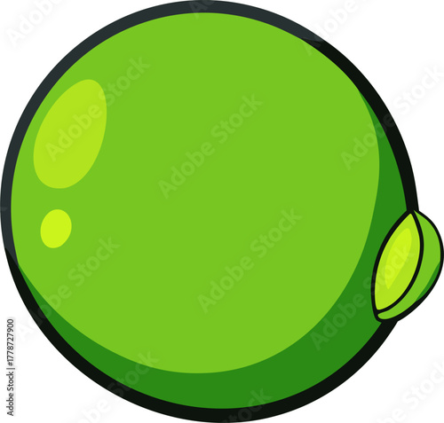 Lime Vector Illustration | Fresh Green Citrus Clipart | Organic Juicy Fruit Design