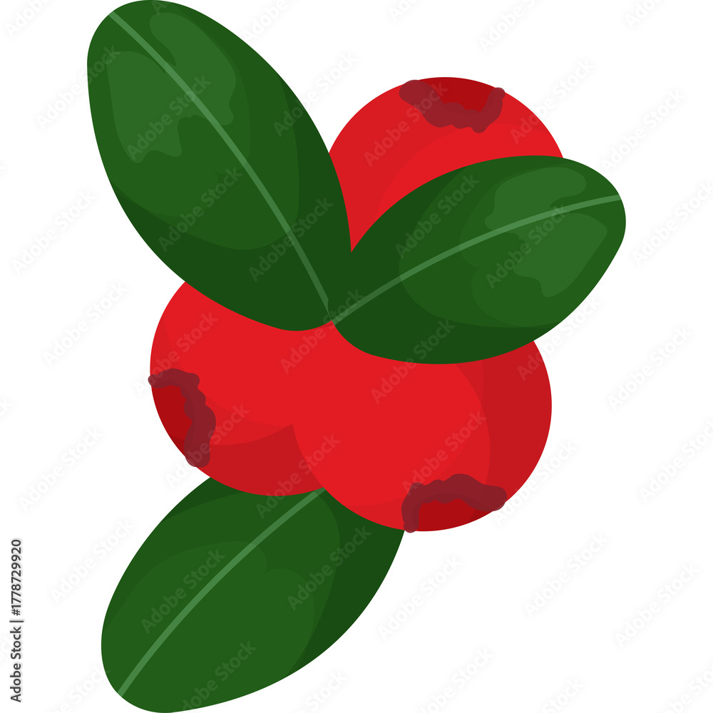 Obraz premium red and green leaves