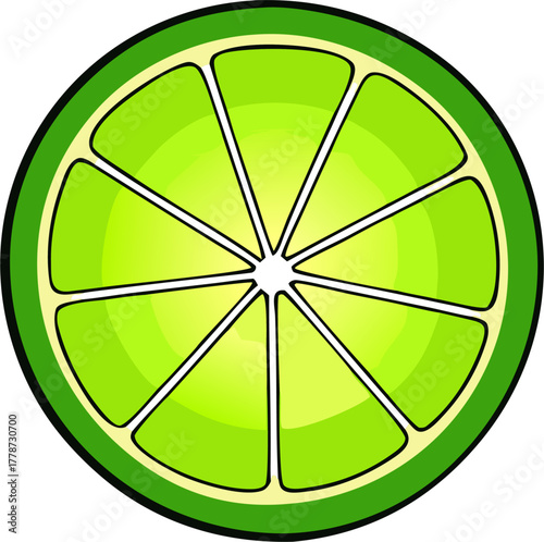 Lime Vector Art | Green Citrus Fruit Illustration | Fresh Organic Food Design