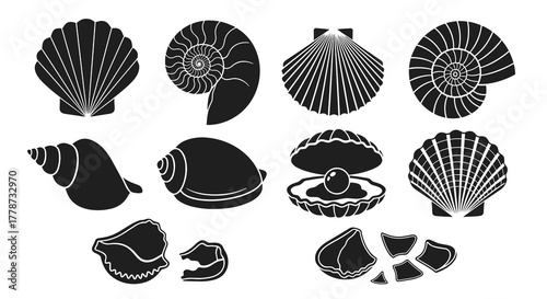 Elegant Seashell Silhouettes: Isolated Vector Illustrations for Coastal Decor & Marine Biology Designs – Nautical Elements for Fashion, Print, and Web Projects with Seaside Appeal, Ideal for Summer Ma