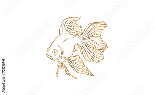 Goldfish line drawing on white background