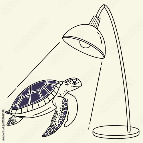 Turtle basking under a heat lamp