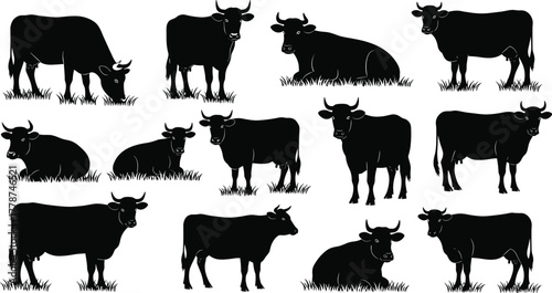 Cow silhouettes grazing and resting, black cattle vector illustration, farm animal clipart, livestock graphic design, dairy cow collection artwork