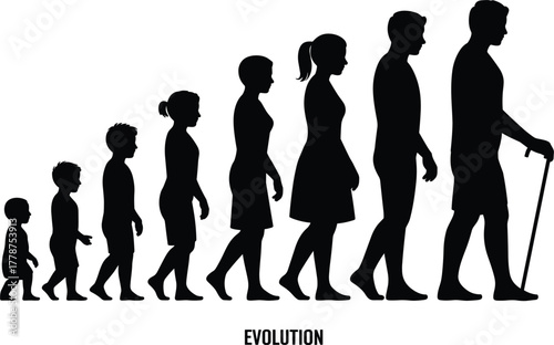 Human Life Cycle and Evolution Silhouette Vector - Stages of Aging from Baby to Old Age - Growth and Development