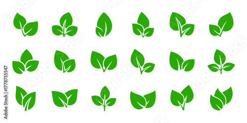 Green leaves set vector illustration isolated. Leaf logos collection.