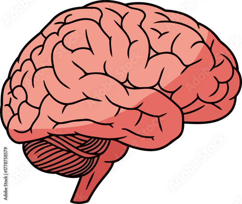 cognitive canvas a visual metaphor for brainpower, learning, and mental acuity, isolated on transparent background