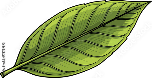 green leaf art a vibrant emblem of earths natural, flourishing beauty, isolated on transparent background