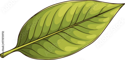 natures verdant heartbeat a symbol of growth, renewal, and earths green essence, isolated on transparent background