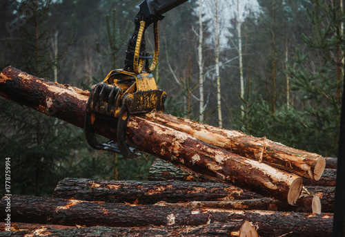 Close-up of a heavy logging machine using a hydraulic grapple to lift freshly cut pine logs in a foggy forest. The image captures modern forestry equipment and industrial timber harvesting operations.