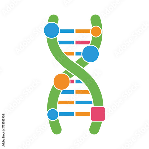 Illustration of a DNA double helix with colored bases and circles.