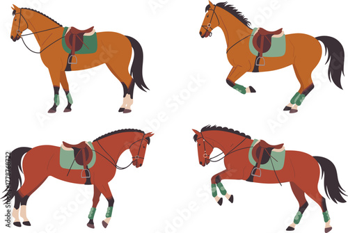Equestrian Sport Horse Vector Set - Saddled Galloping and Standing Horses - Racing and Jumping Concept Illustration