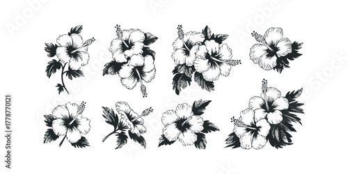 Collection of Black and White Hibiscus Flower Arrangements