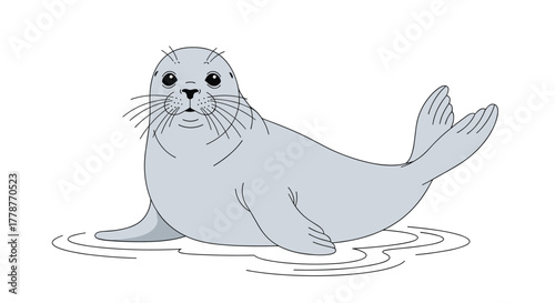 A friendly cartoon seal with light grey fur and prominent whiskers sits upright on a white background, looking directly ahead with big eyes.