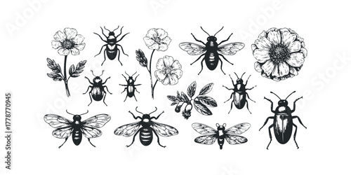 Collection of Hand-Drawn Insects and Flowers Silhouette
