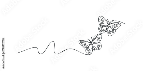 Two butterflies flying in graceful motion