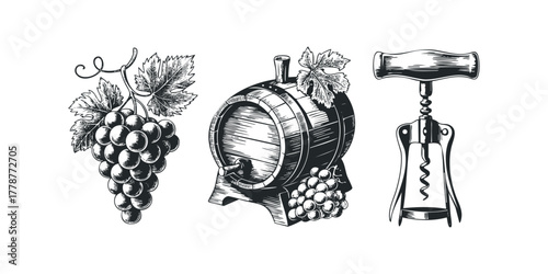 Grapes, wine barrel, and corkscrew illustration