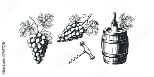 Grapes and Wine Barrel with Corkscrew Sketch