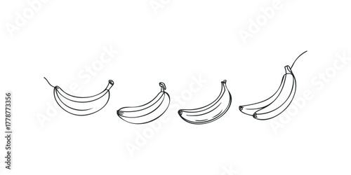 Group of bananas drawn with thin black outline on white background