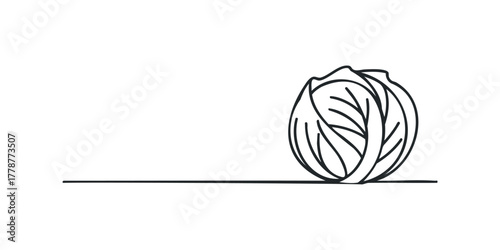 Line art cabbage on isolated white background